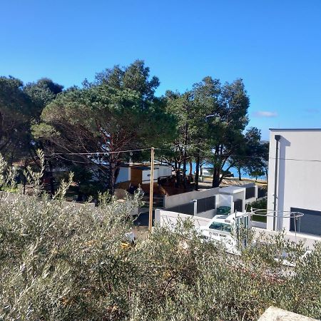 Apartmani Fila Vrsi Exteriér fotografie