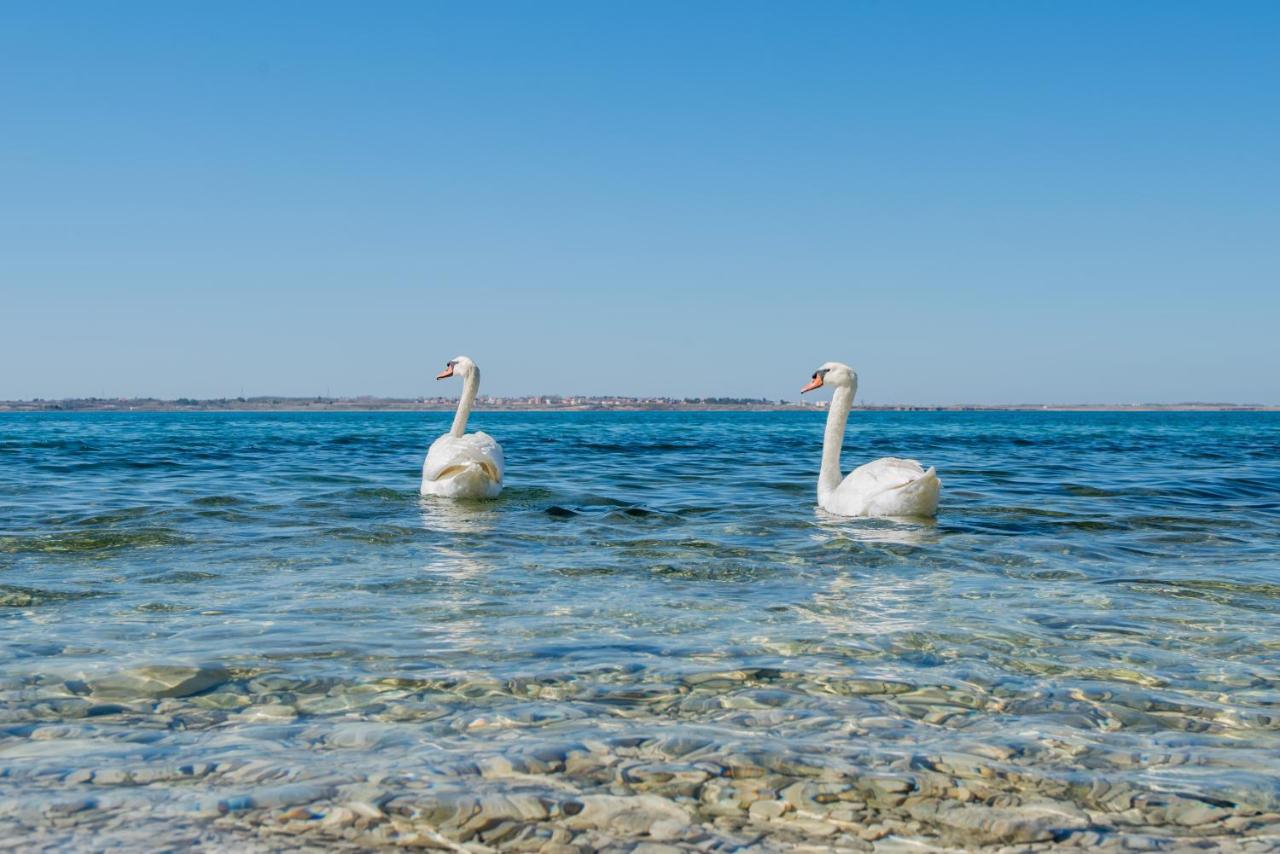Apartmani Fila Vrsi Exteriér fotografie